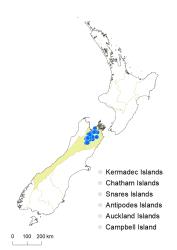 Veronica tumida distribution map based on databased records at AK, CHR & WELT.
 Image: K.Boardman © Landcare Research 2022 CC-BY 4.0